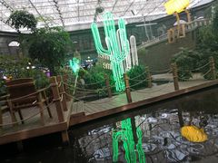 -凯德广场(学府店)