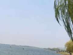 -丁香湖公园