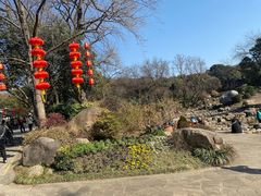 -无锡梅园公园