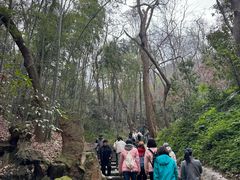 -杭州湖滨in77