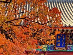 -香山公园