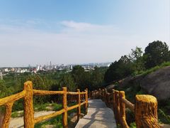 -白水寺森林公园