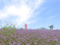 -同里国家湿地公园