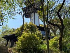 -上海佘山国家森林公园天马山园