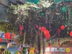 -酷嗒动物文化乐园(cutezoo西溪乐天城店)