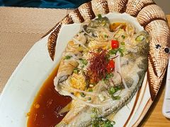 昆布蒸黄鱼-三石铁板烧(紫竹桥店)