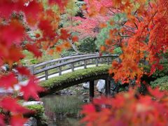 -京都御所