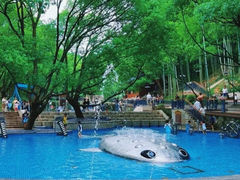 -东明山森林公园