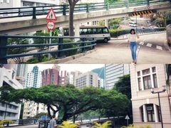 -香港大学