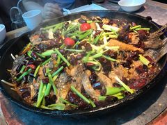 -老板恋上鱼(恒隆广场店)