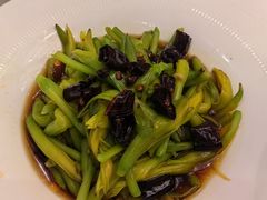 -凯鸽酒楼(水泉湾龙园店)
