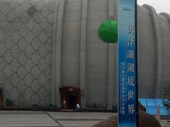 -泗洪洪泽湖湿地景区