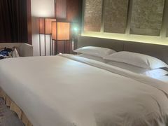 -北京首都机场希尔顿酒店