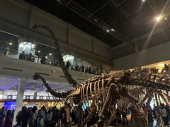 -自贡恐龙博物馆