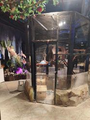 -酷嗒动物文化乐园(cutezoo西溪乐天城店)