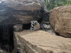 -秦皇岛野生动物园