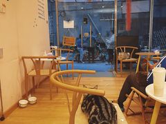 -猫咪派对(江南西店)