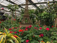 -南宫五洲植物乐园