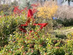 -上海不夜城广场(上海不夜城金融大厦店)