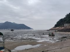-北岐滩涂