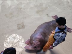 -泉城欧乐堡海洋极地世界