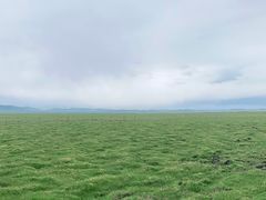 -花湖生态旅游区