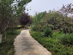 -绿岛公园(滨海新区)