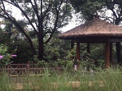 -上海市保健医疗中心