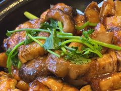 -美心皇宫(屯门大会堂店)