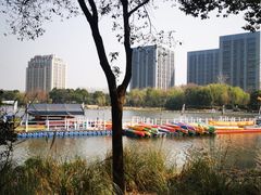 -南翔镇银翔湖公园