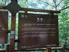 -黎坪国家森林公园