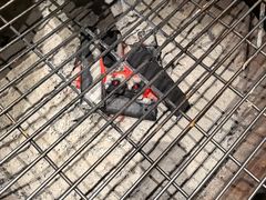 -巢爷老味(东方红店)