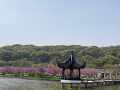 -苏州上方山国家森林公园