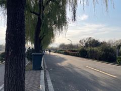 -洨河生态公园