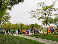 -上海山野camping·户外天幕烧烤·团建拓展营地