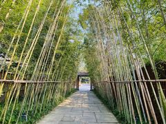 -新荣记(西溪湿地店)