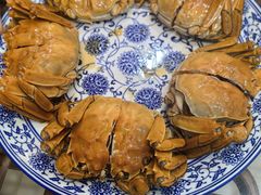 -呼吸森林·生态农庄农家乐私房菜