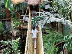 -正佳雨林生态植物园