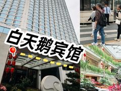 -广州白天鹅宾馆