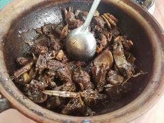 -天强农家菜馆