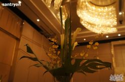 -上海雅居乐万豪侯爵酒店·宴会厅