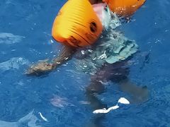 -Swim斯卫姆国际儿童游泳中心(红博中央公园店)