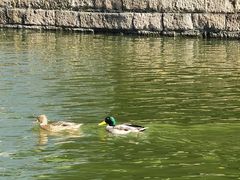 -团结湖公园