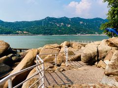 -海角城白海豚浪漫海滩