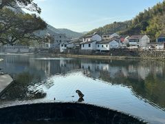 -鹿亭中村