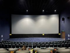 -幸福蓝海国际影城(崇安寺T12店)