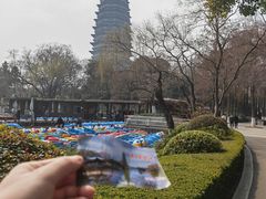 -红梅公园