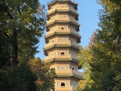 -灵谷景区