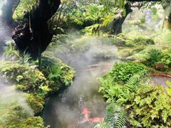 -Chom Cafe and Restaurant