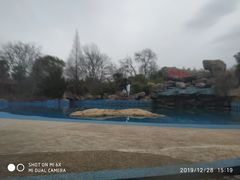-金孔雀温泉旅游度假村
